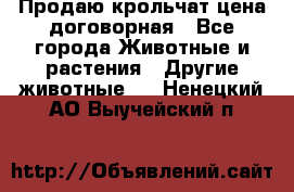 Продаю крольчат цена договорная - Все города Животные и растения » Другие животные   . Ненецкий АО,Выучейский п.